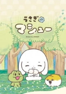 うさぎのマシュー